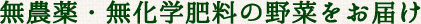 無農薬・無化学肥料の野菜をお届け