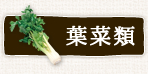 葉菜類